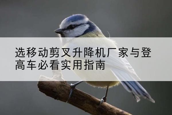 八公山电动升降机厂家-选移动剪叉升降机厂家与登高车必看实用指南