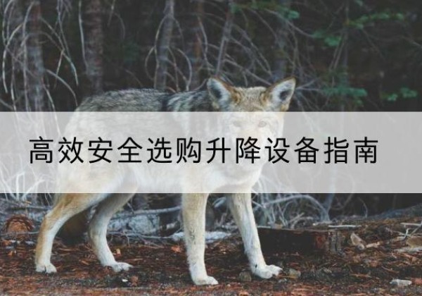 八公山升降货梯厂家推荐-*安全选购升降设备指南